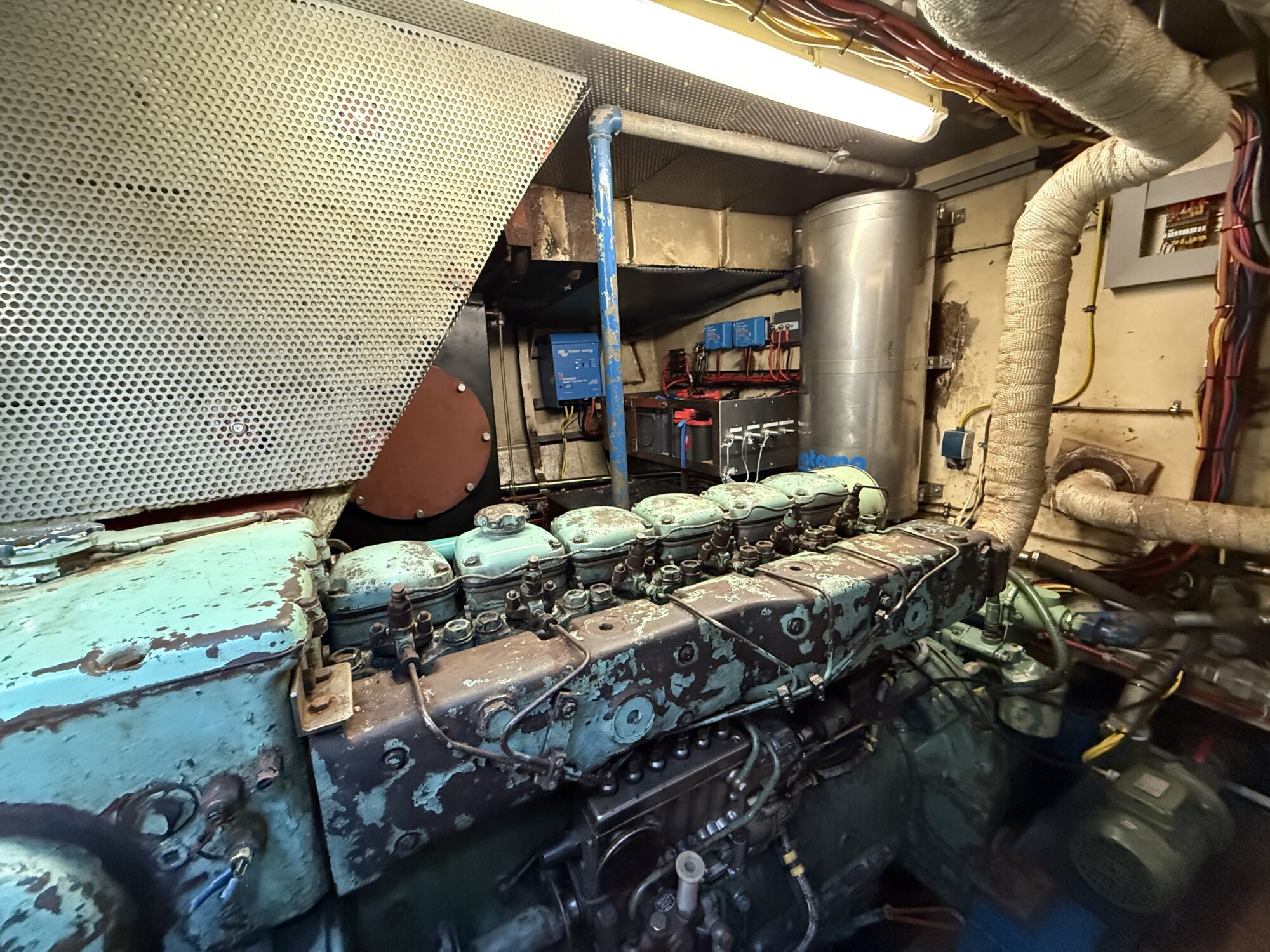 foto: 11 Noordzeekotter Noordzeekotter  ‘WR 134’