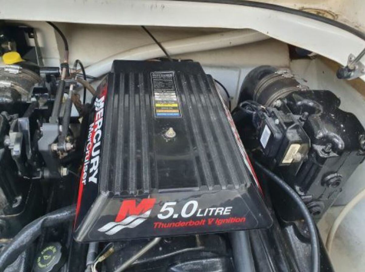 foto: 14 Bayliner 305 CIERA