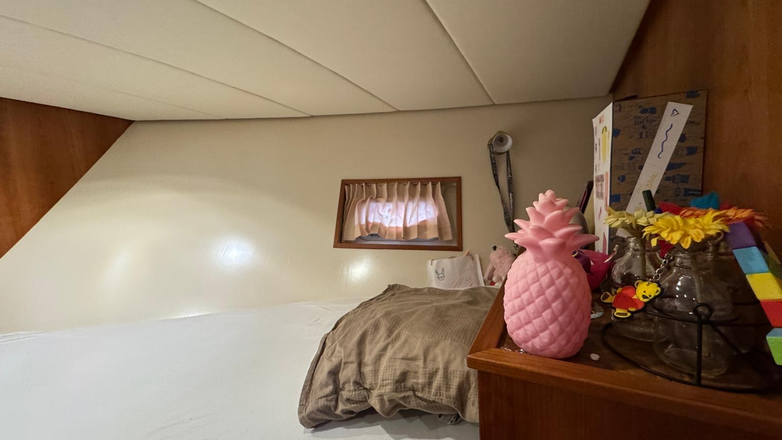 foto: 32 Valkkruiser Valkkruiser Challenger 45 VS