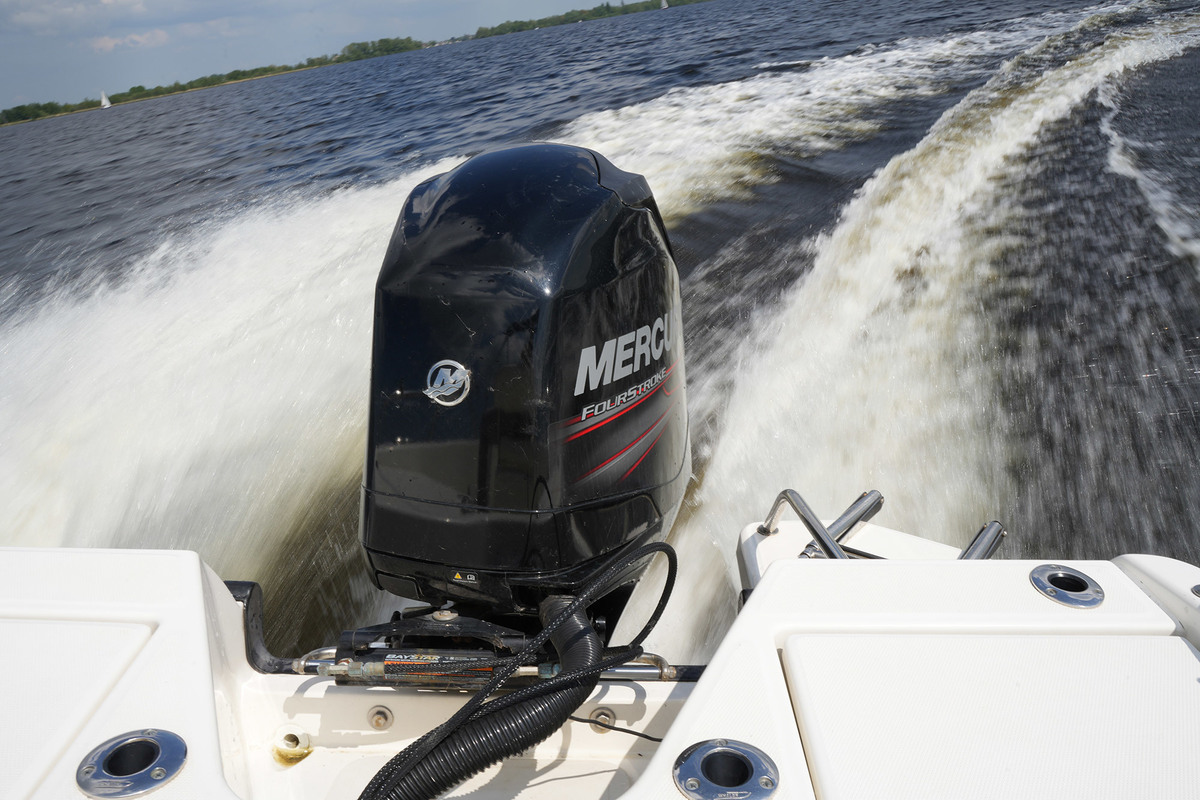 foto: 25 Boston Whaler 170 Dauntless