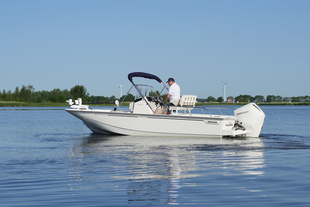 foto: 22 Boston Whaler 210 Montauk