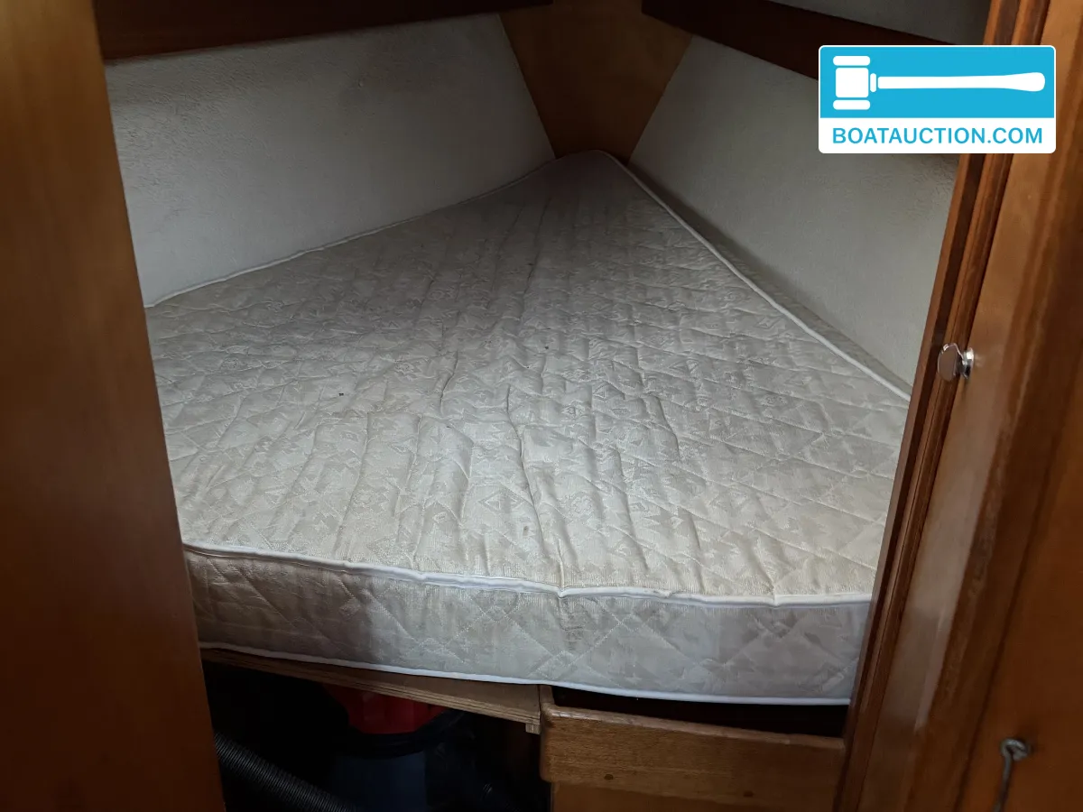 foto: 6 Van de Stadt 34