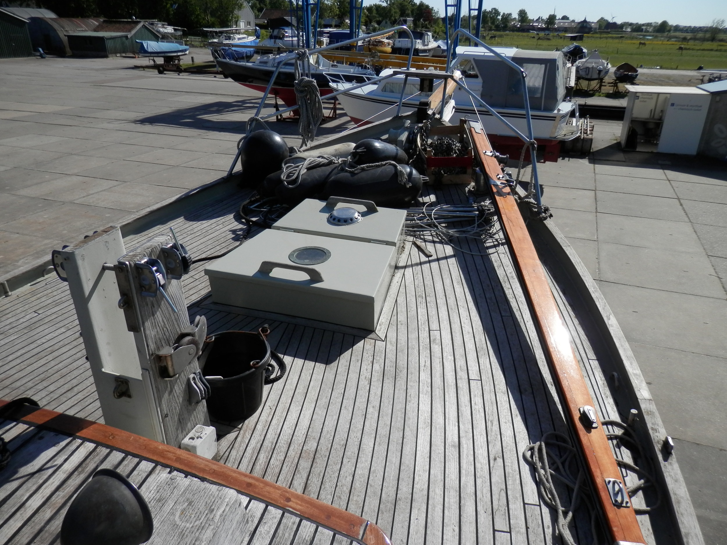 foto: 7 Danish Rose 31