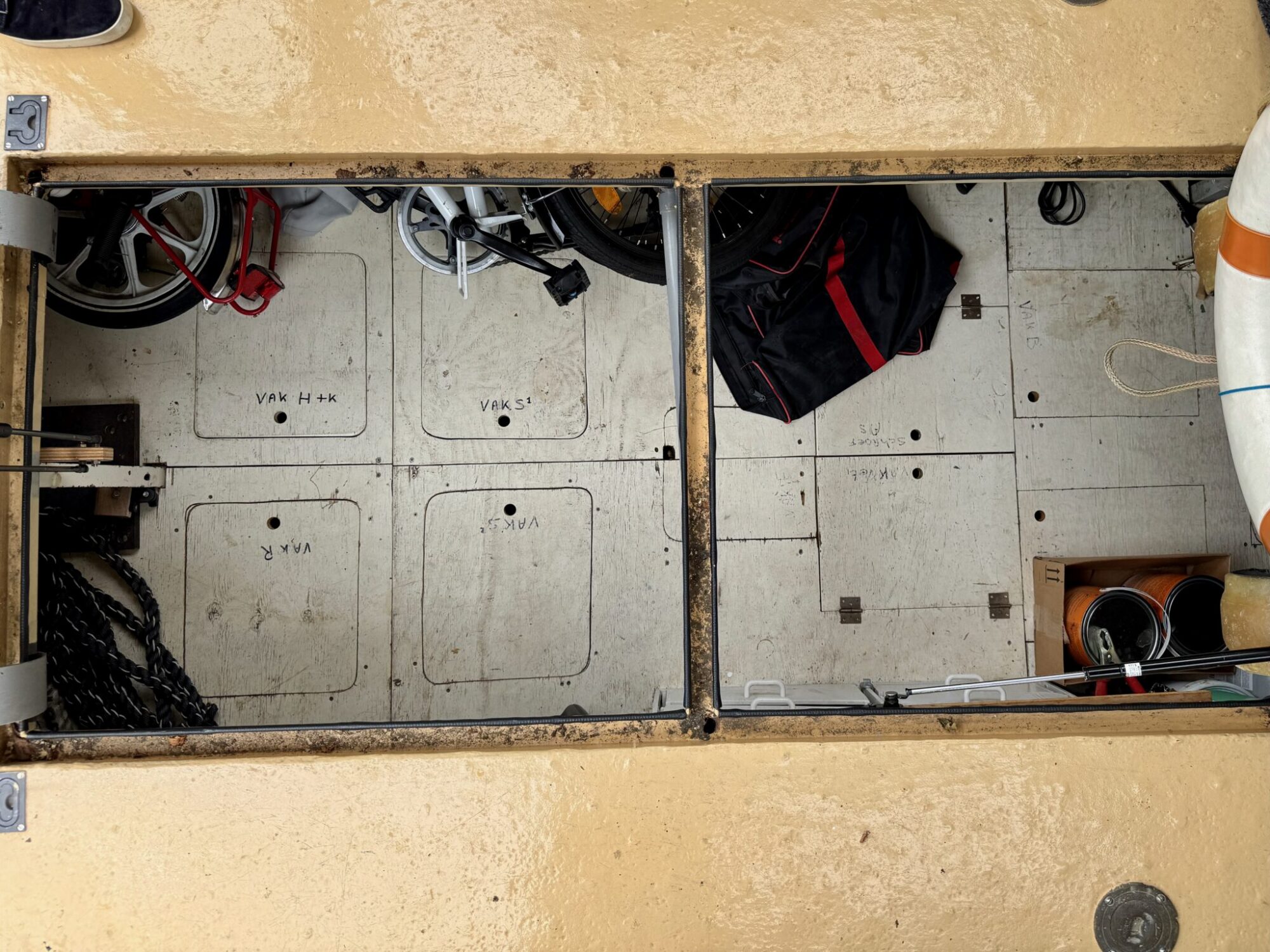 foto: 13 Damen Damen vlet 12.20 OK