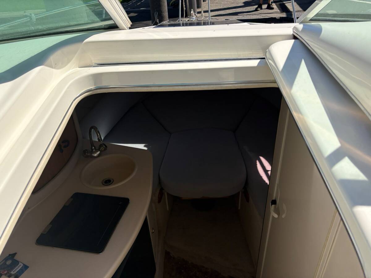 foto: 8 Sea Ray  250 Sundancer