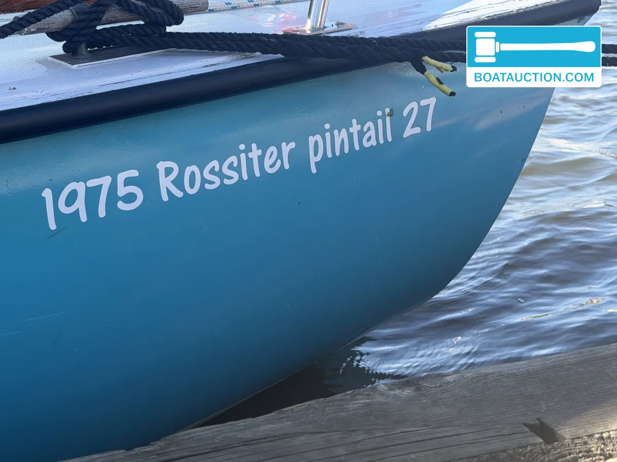 foto: 10 Rossiter Pintail 27