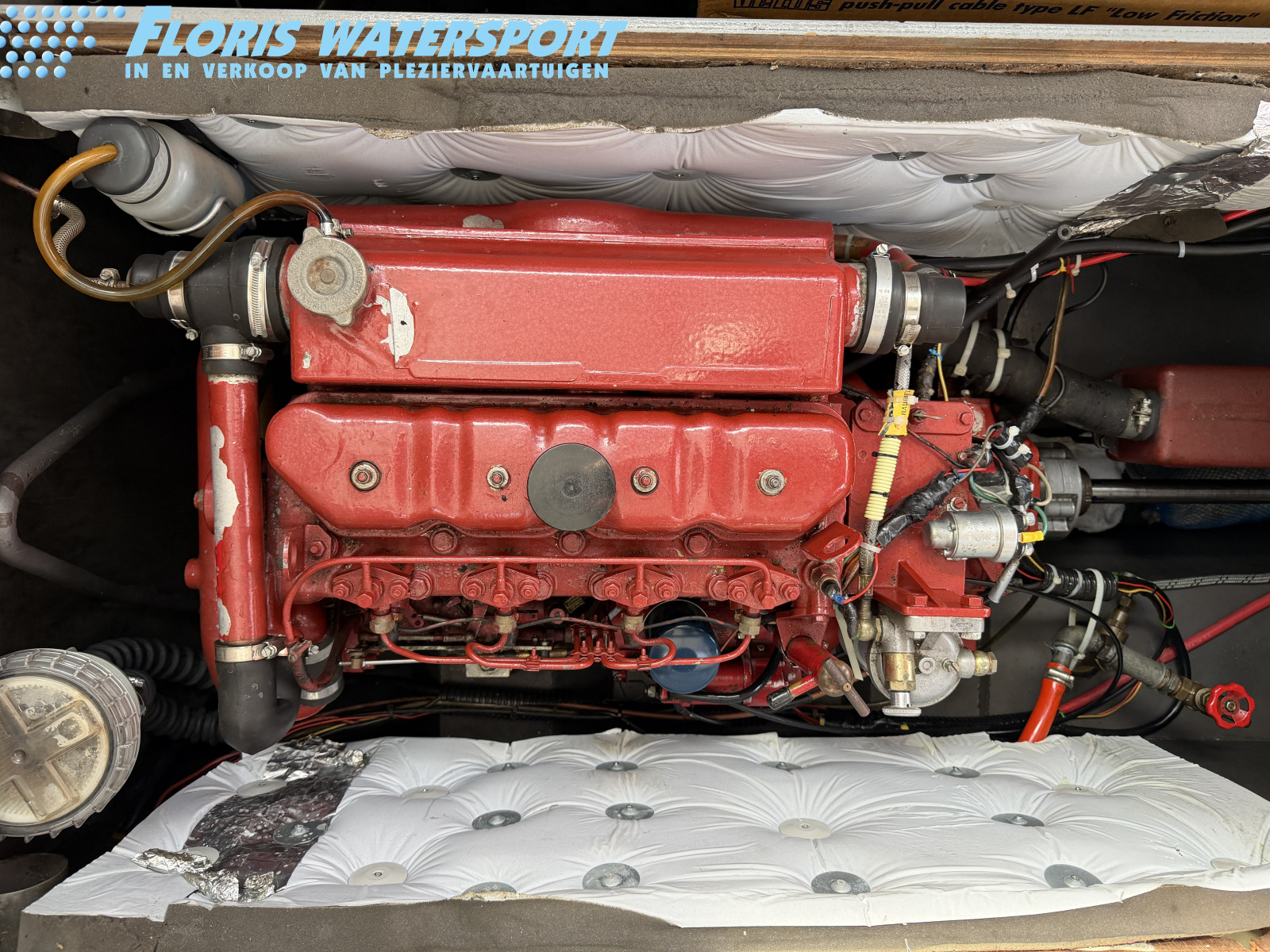 foto: 5 Excellent 900 OK