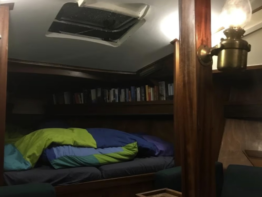 foto: 6 Kolibrie  900