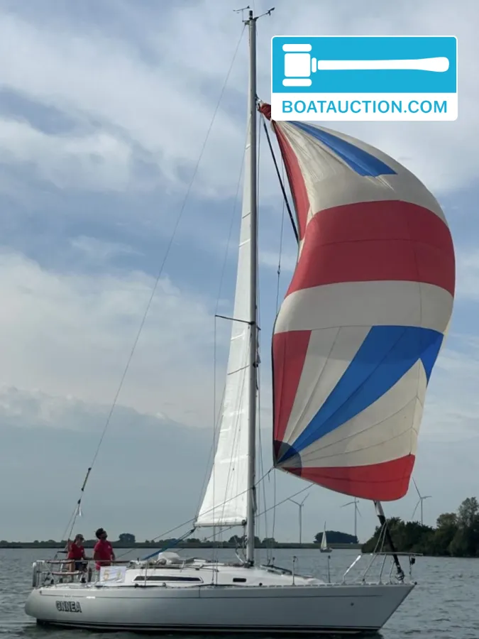 foto: 12 Sigma 33 OOD