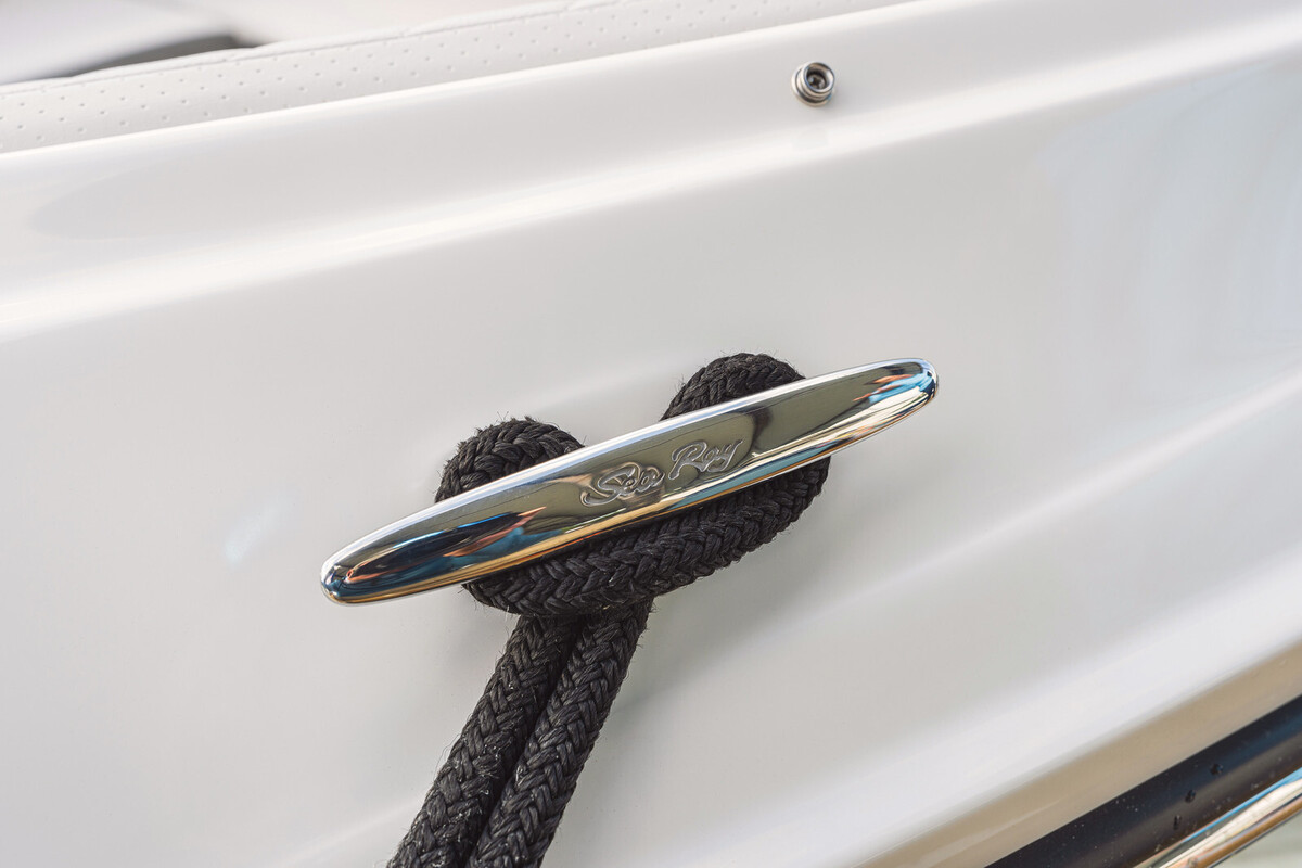 foto: 9 Sea Ray SDX 250  