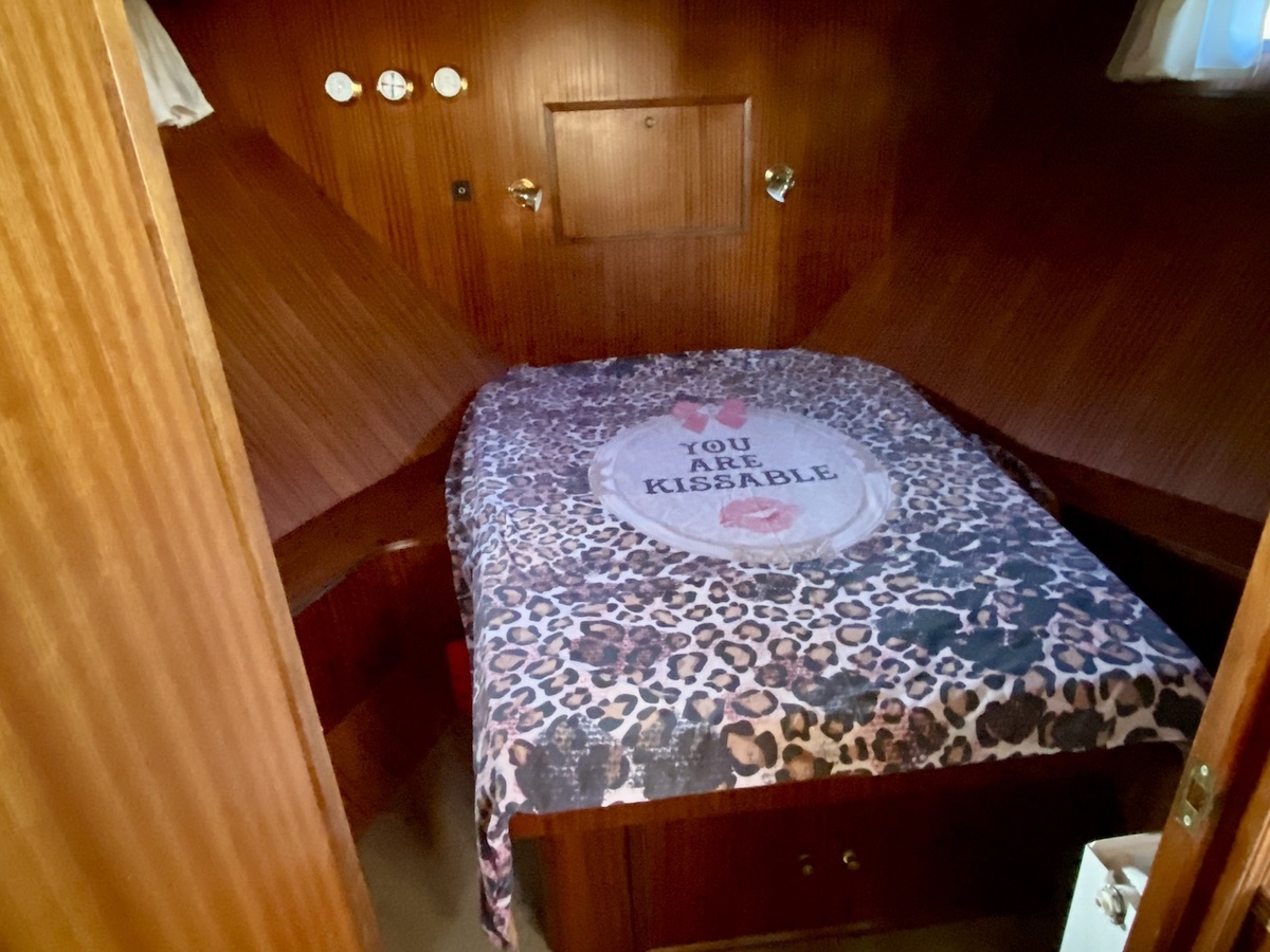 foto: 10 Blauwe Hand Commander