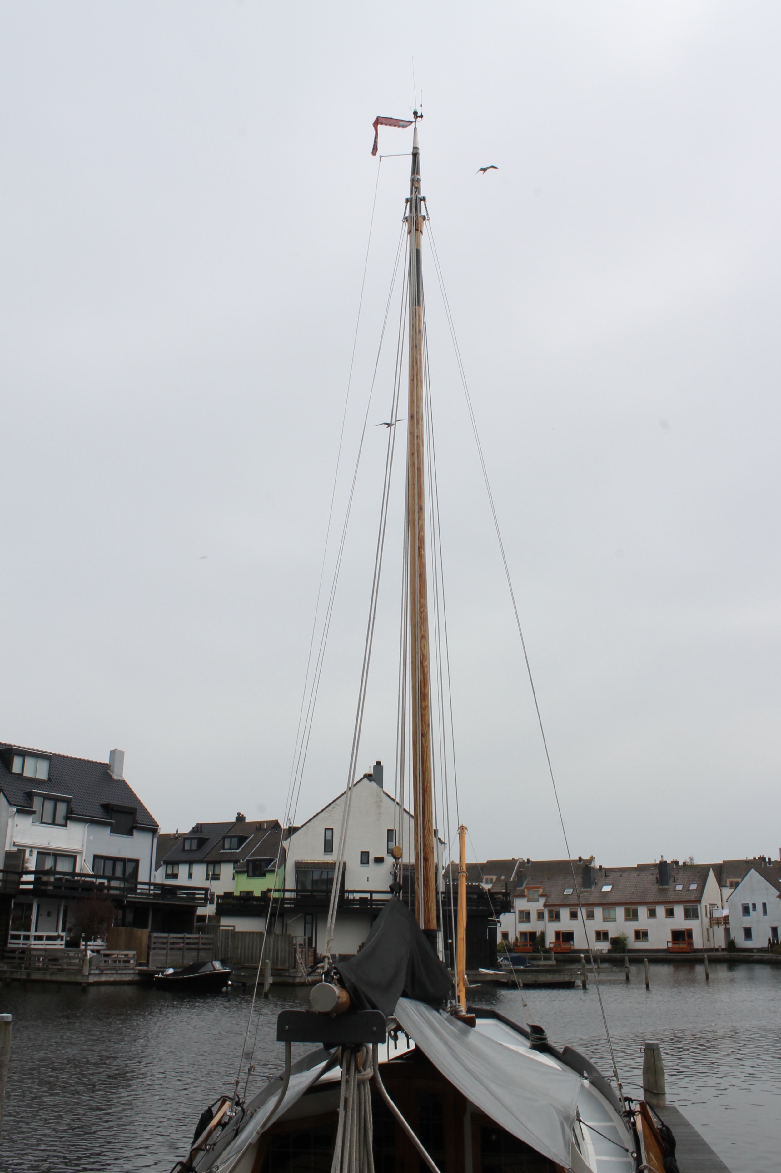 foto: 21 Zeeschouw 10.00 Van Twillert Spakenburg