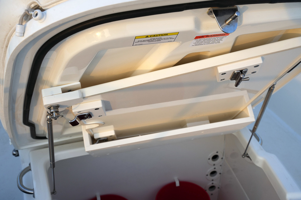 foto: 10 Boston Whaler 270 Dauntless