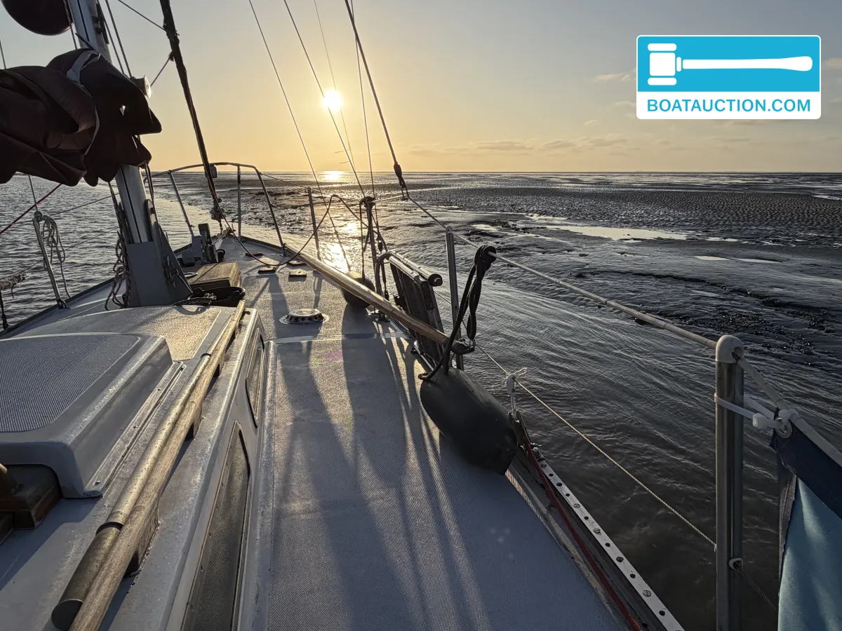 foto: 11 Rossiter Pintail 27