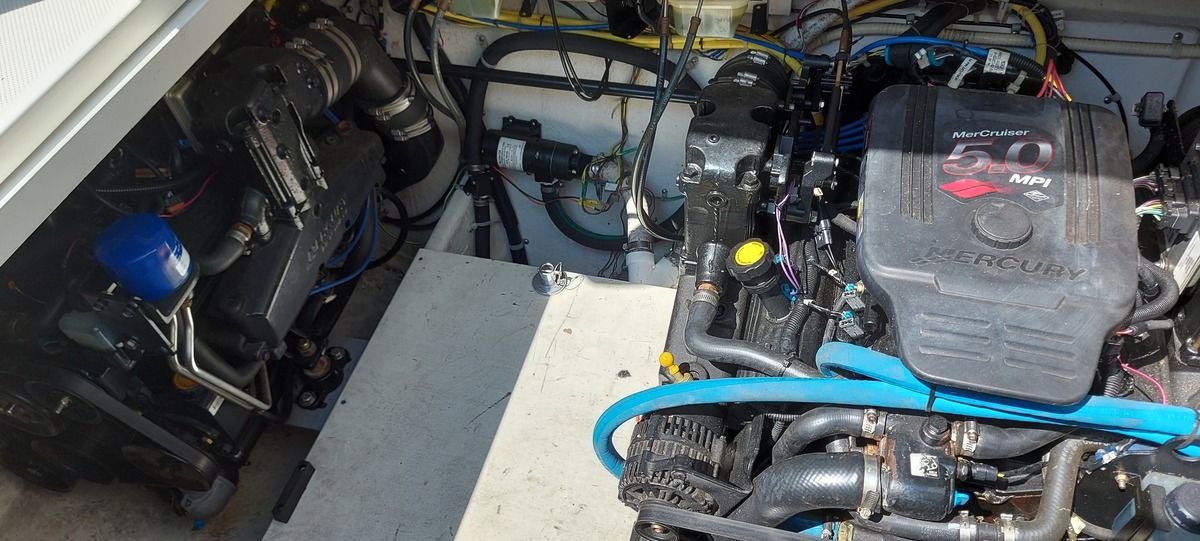 foto: 16 Bayliner 305