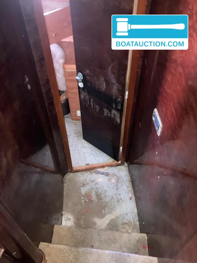 foto: 15 Horizon Elegance 92 Dynasty