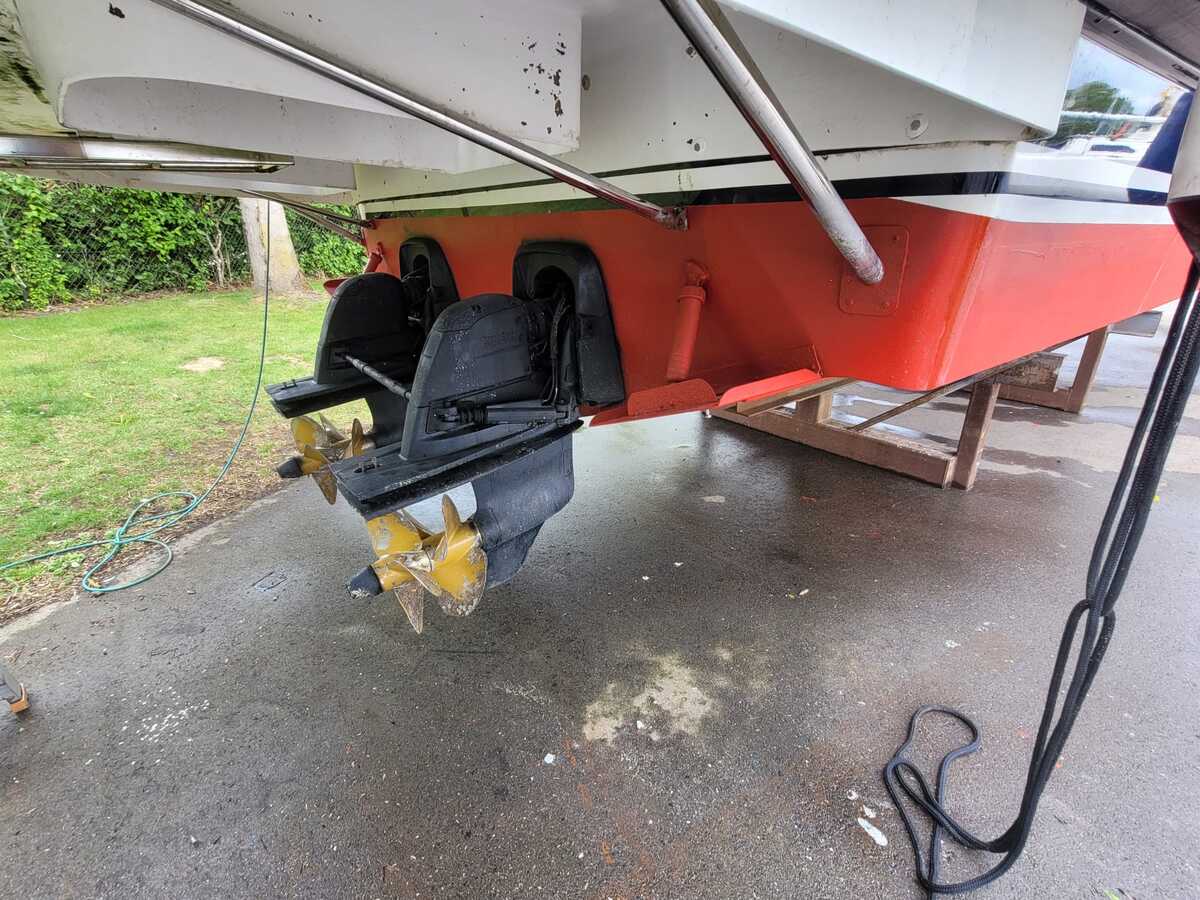 foto: 14 Sargo 36