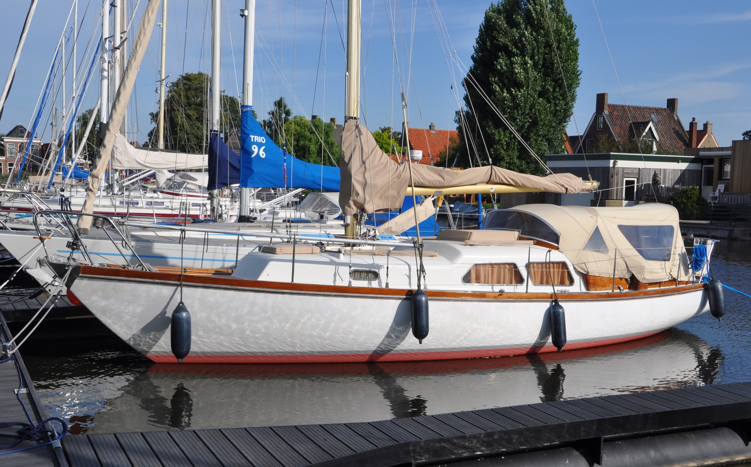 Delphin 66