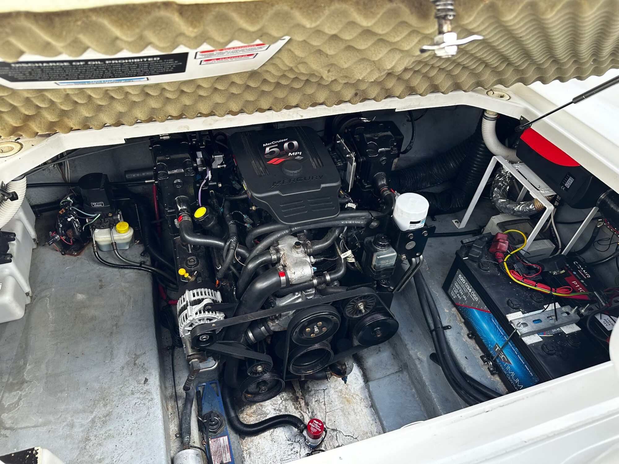 foto: 8 Sea Ray Sea Ray 260 Sundancer