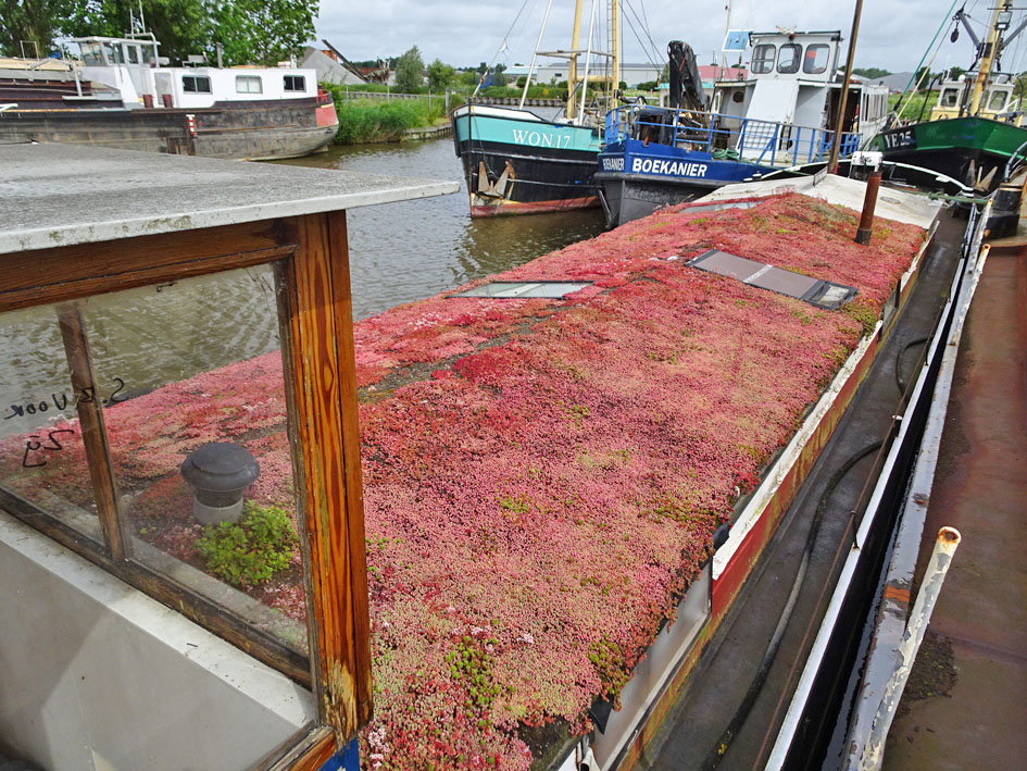 foto: 9 Woontjalk 21.70