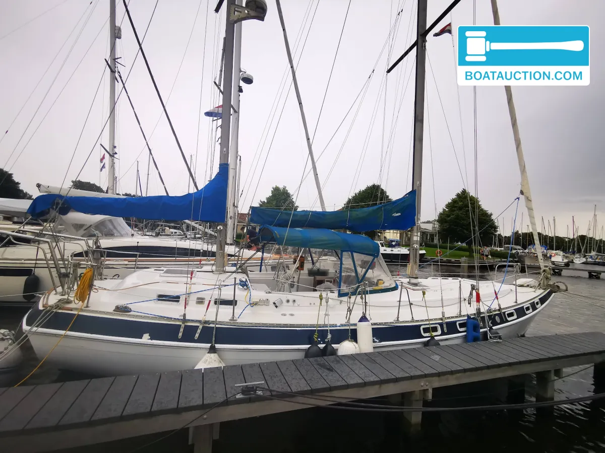 foto: 16 Morgan Out Island 41