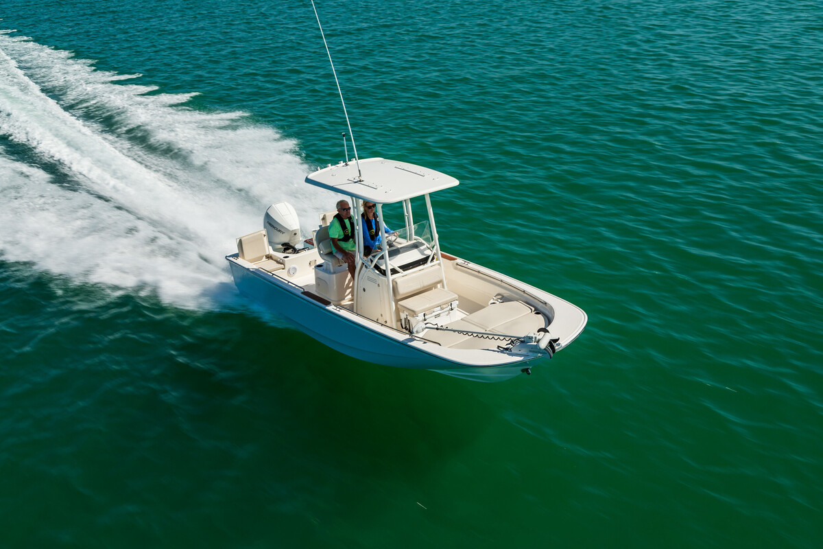 Boston Whaler 210 Montauk