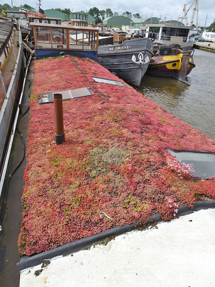 foto: 11 Woontjalk 21.70