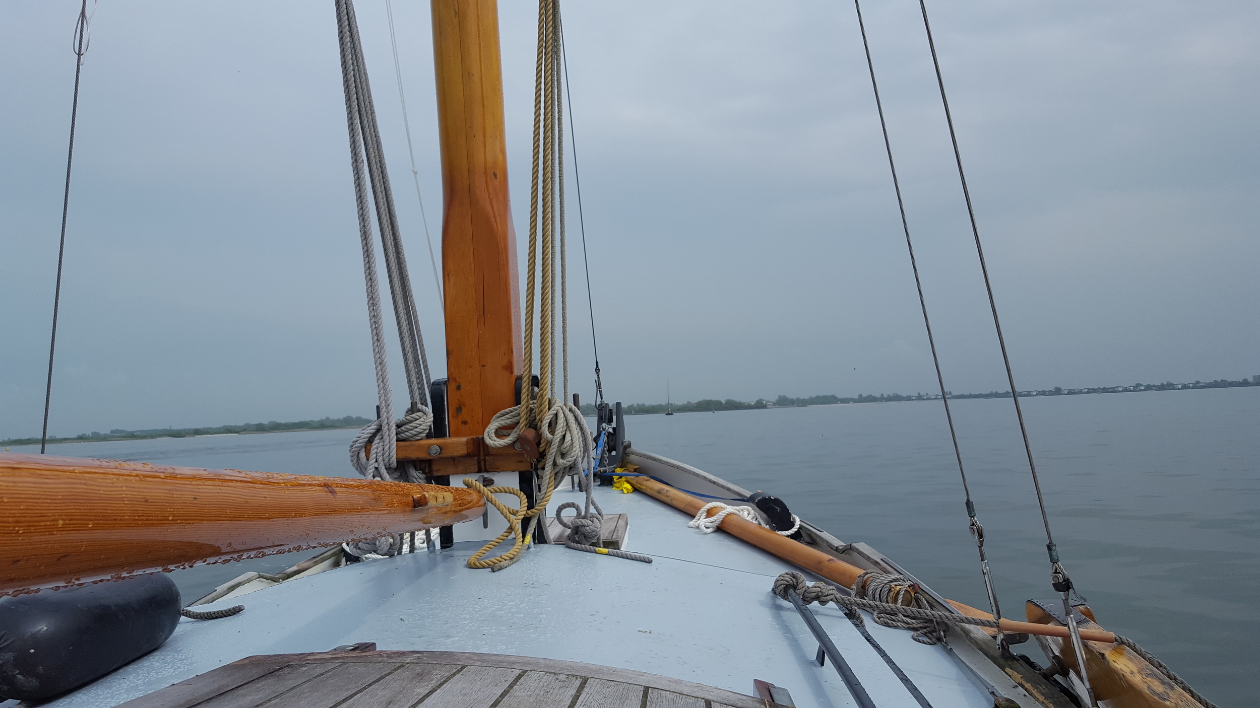 foto: 16 Vredenburgh Schokker 984