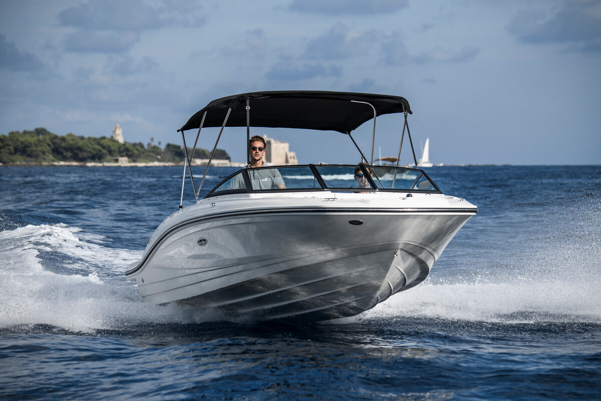 foto: 11 Sea Ray SPX 210 Outboard