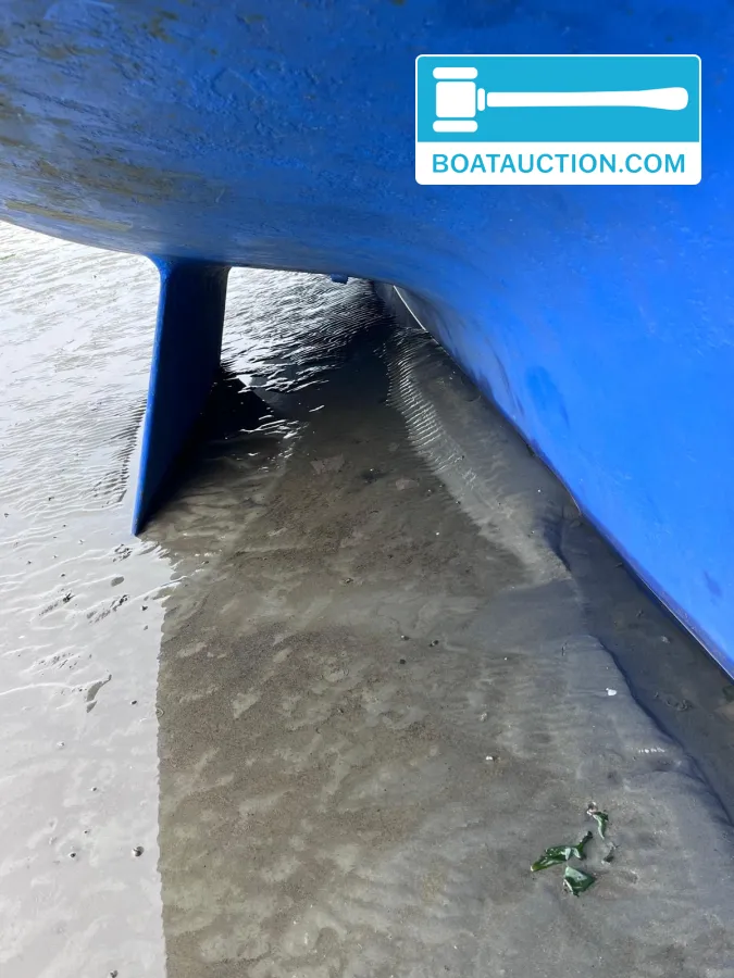 foto: 12 Rossiter Pintail 27