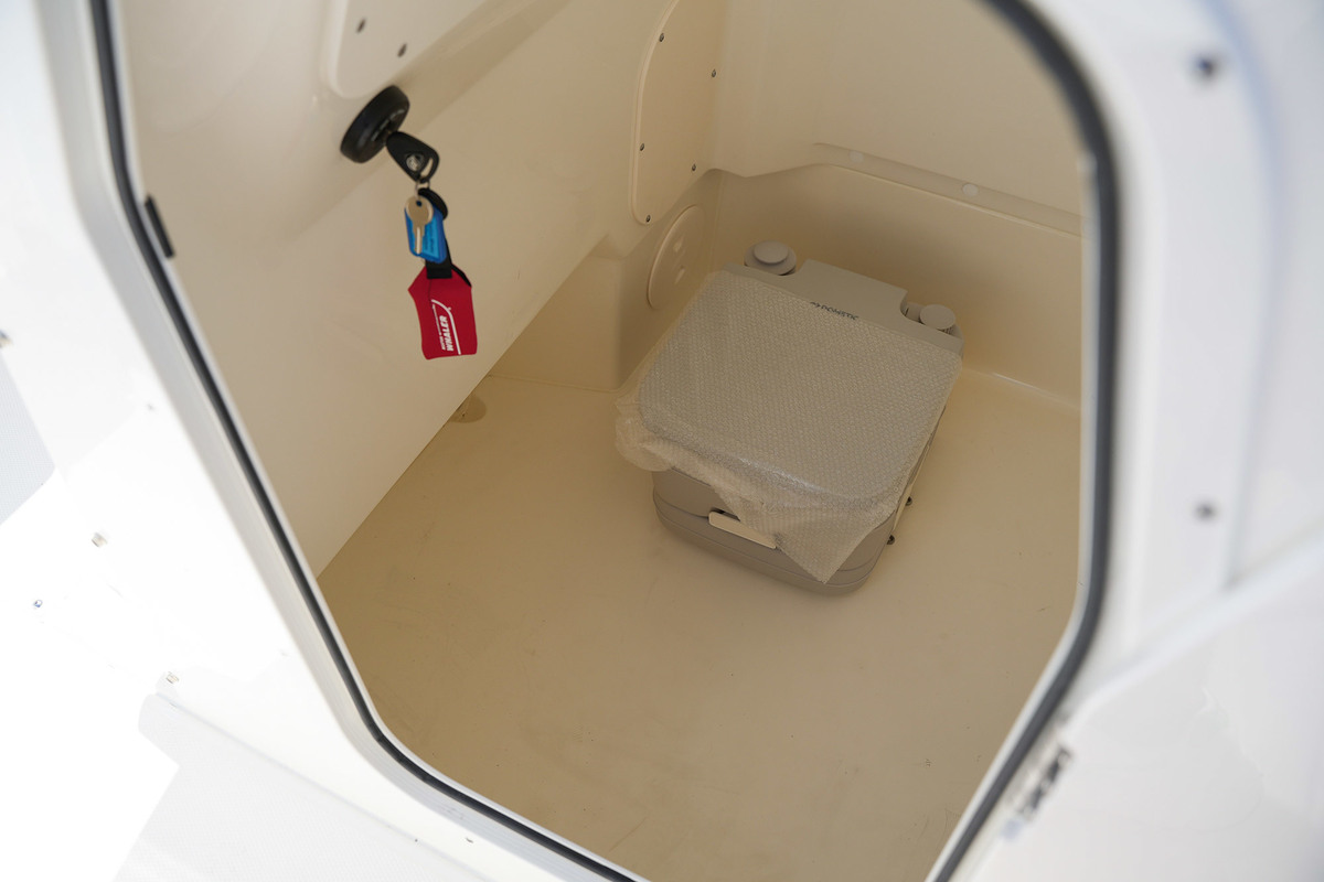 foto: 12 Boston Whaler 250 Dauntless