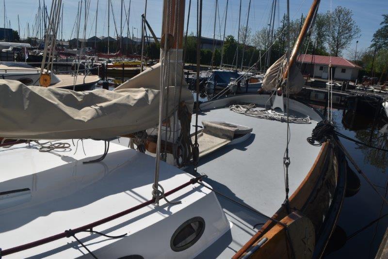 foto: 18 Blom Lemsteraak 10.10