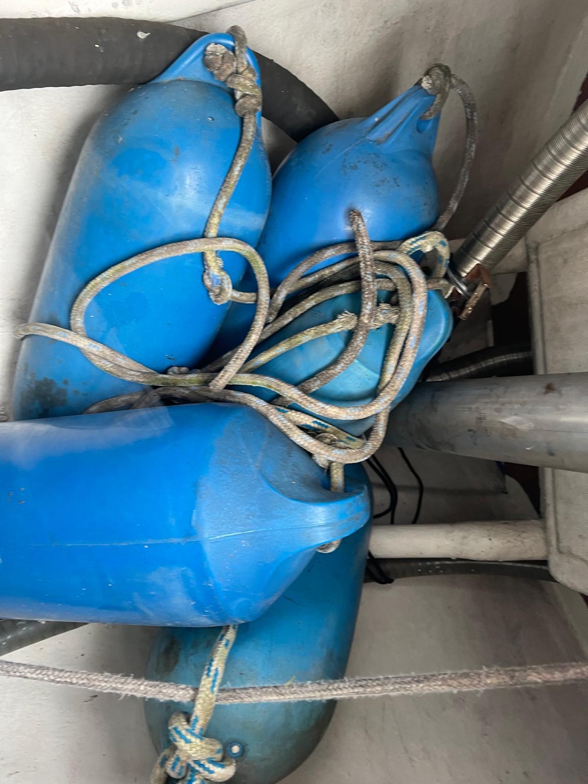 foto: 9 Fly 34 Mosquito 104