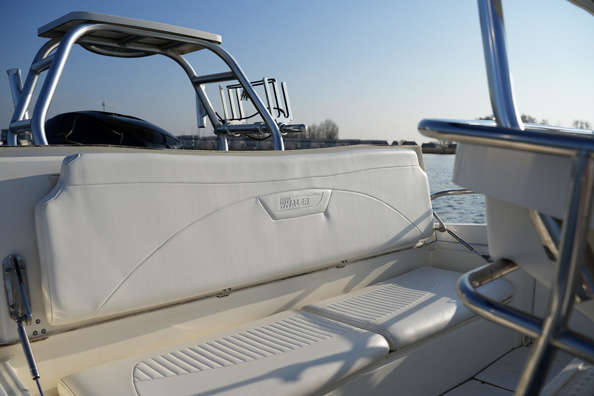 foto: 12 Boston Whaler 230 Dauntless
