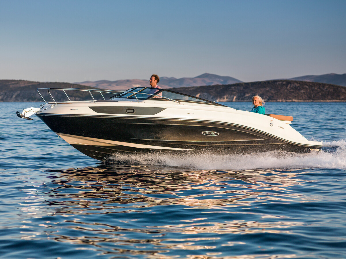foto: 8 Sea Ray Sun Sport 230