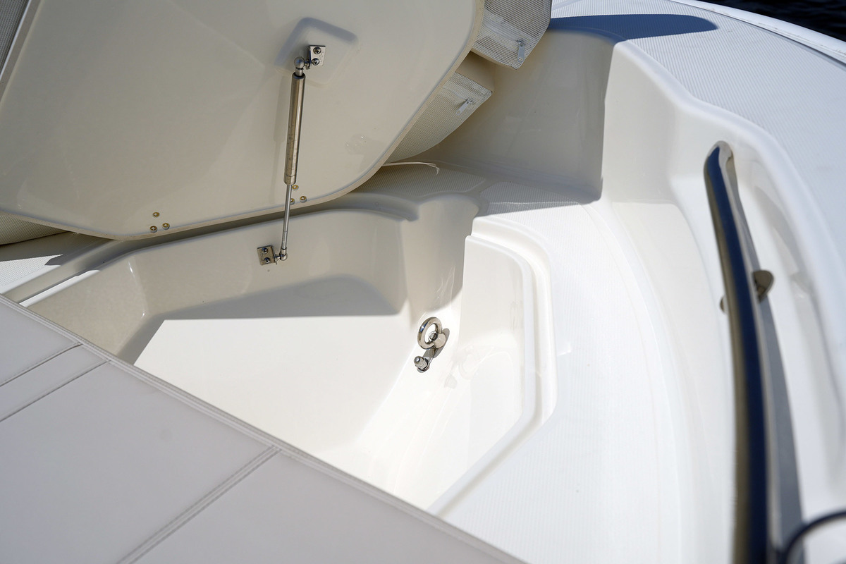 foto: 17 Boston Whaler 250 Dauntless