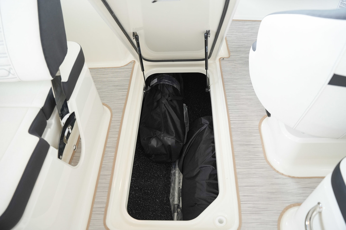 foto: 19 Sea Ray SPX 210 