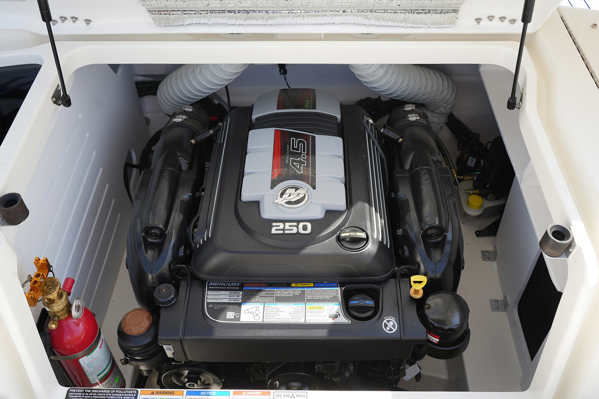 foto: 17 Sea Ray 210