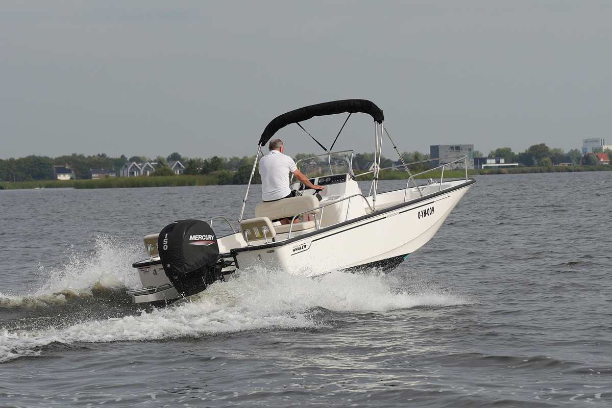 foto: 18 Boston Whaler 190 Montauk