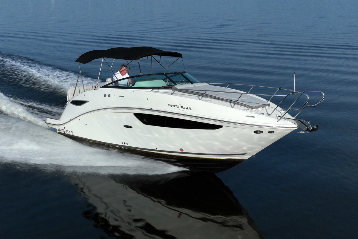 foto: 23 Sea Ray 265