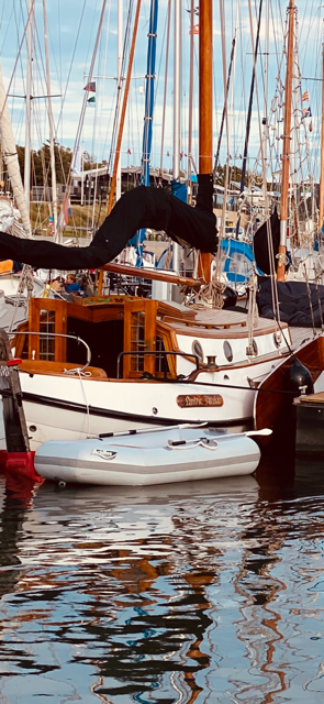 foto: 5 Vollenhovense Bol 9.75