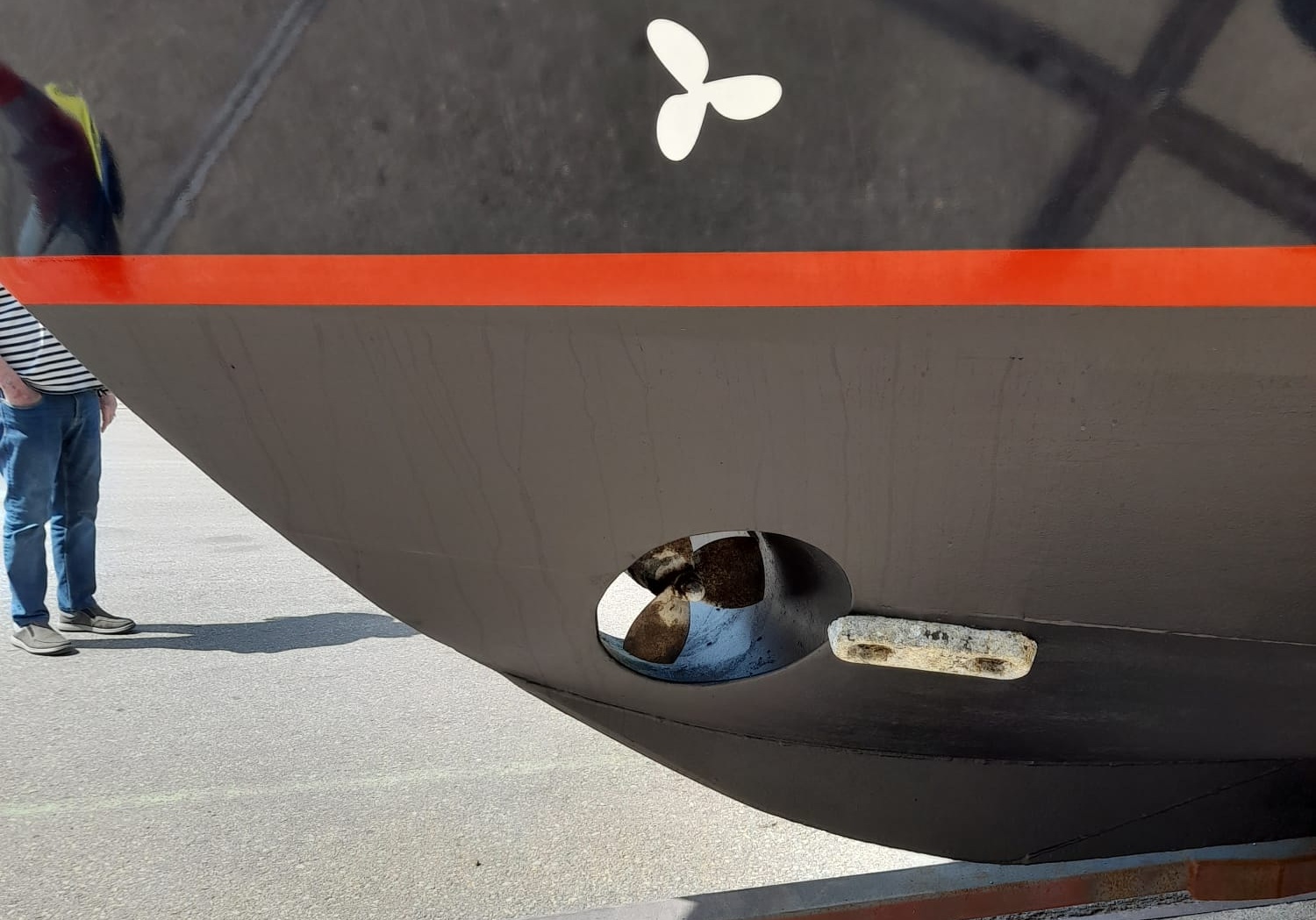 foto: 19 Zwaan Zwaan Kotter 12.85 AK