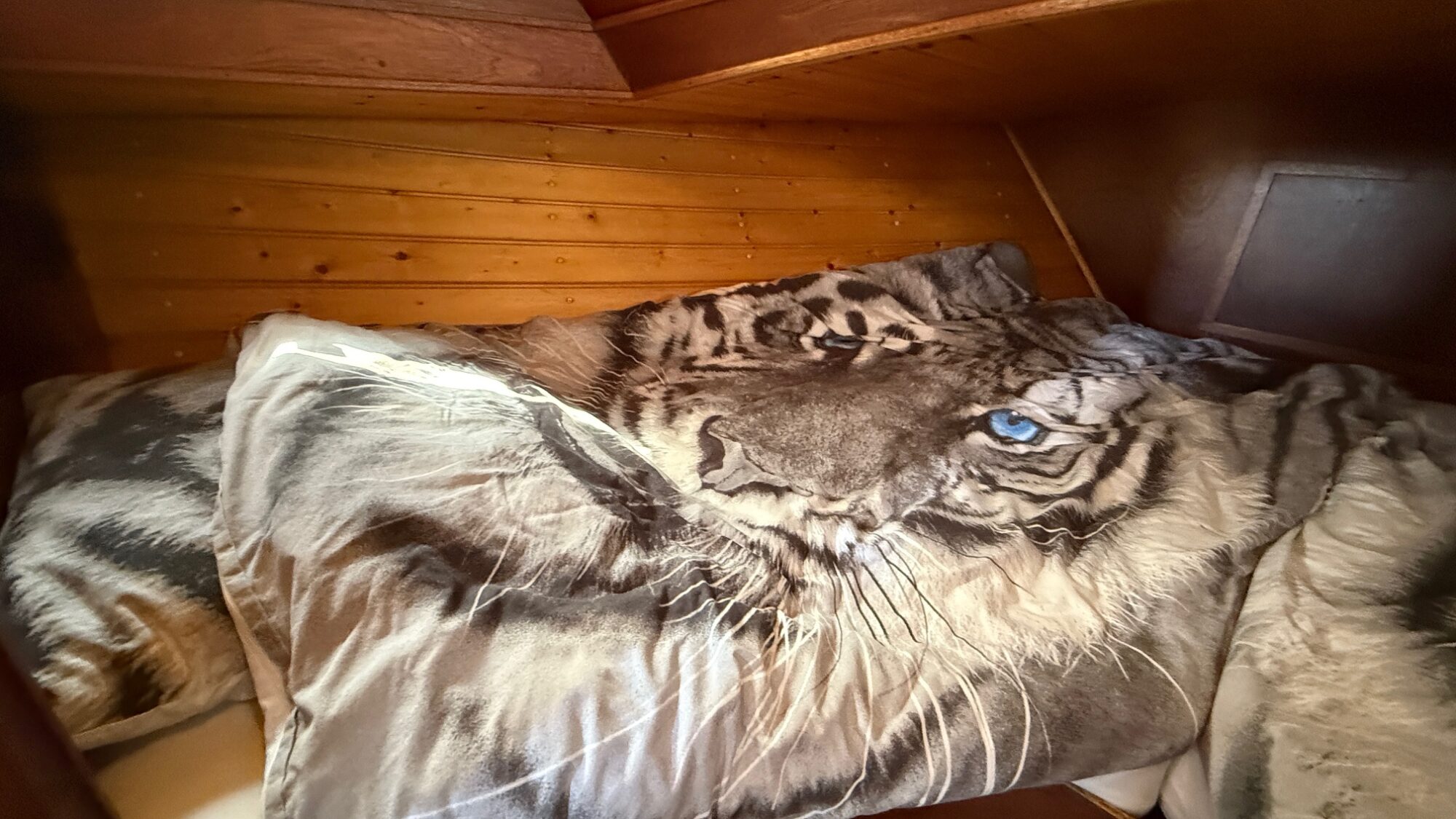 foto: 27 Valkkruiser Valkkruiser Content 12.80 AK Cabrio