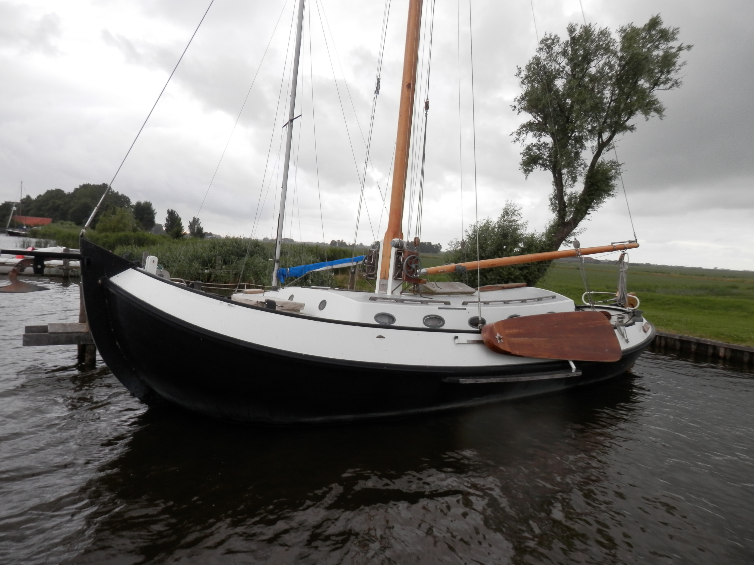 foto: 8 Blom Lemsteraak 12.10 Roefaak