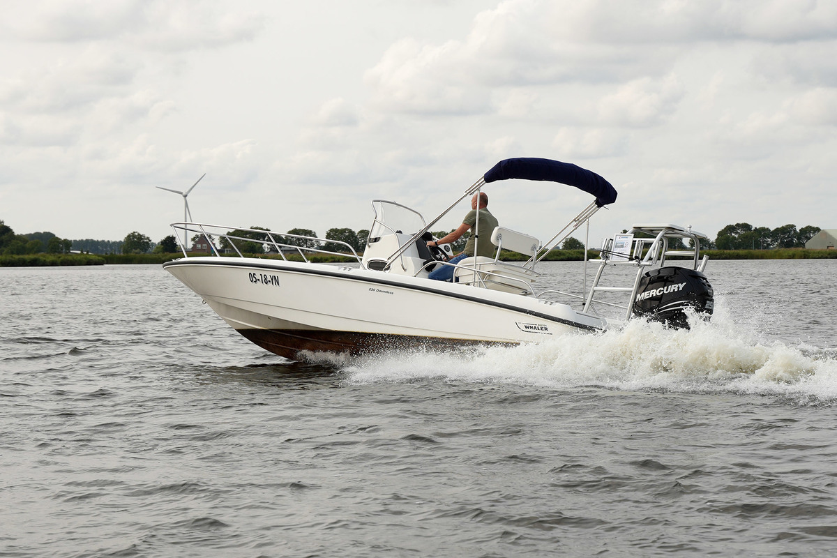 foto: 12 Boston Whaler 230 Dauntless