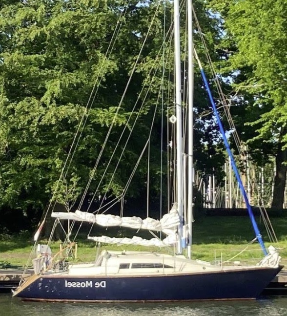 hoofdfoto: 1 Kolibrie  900