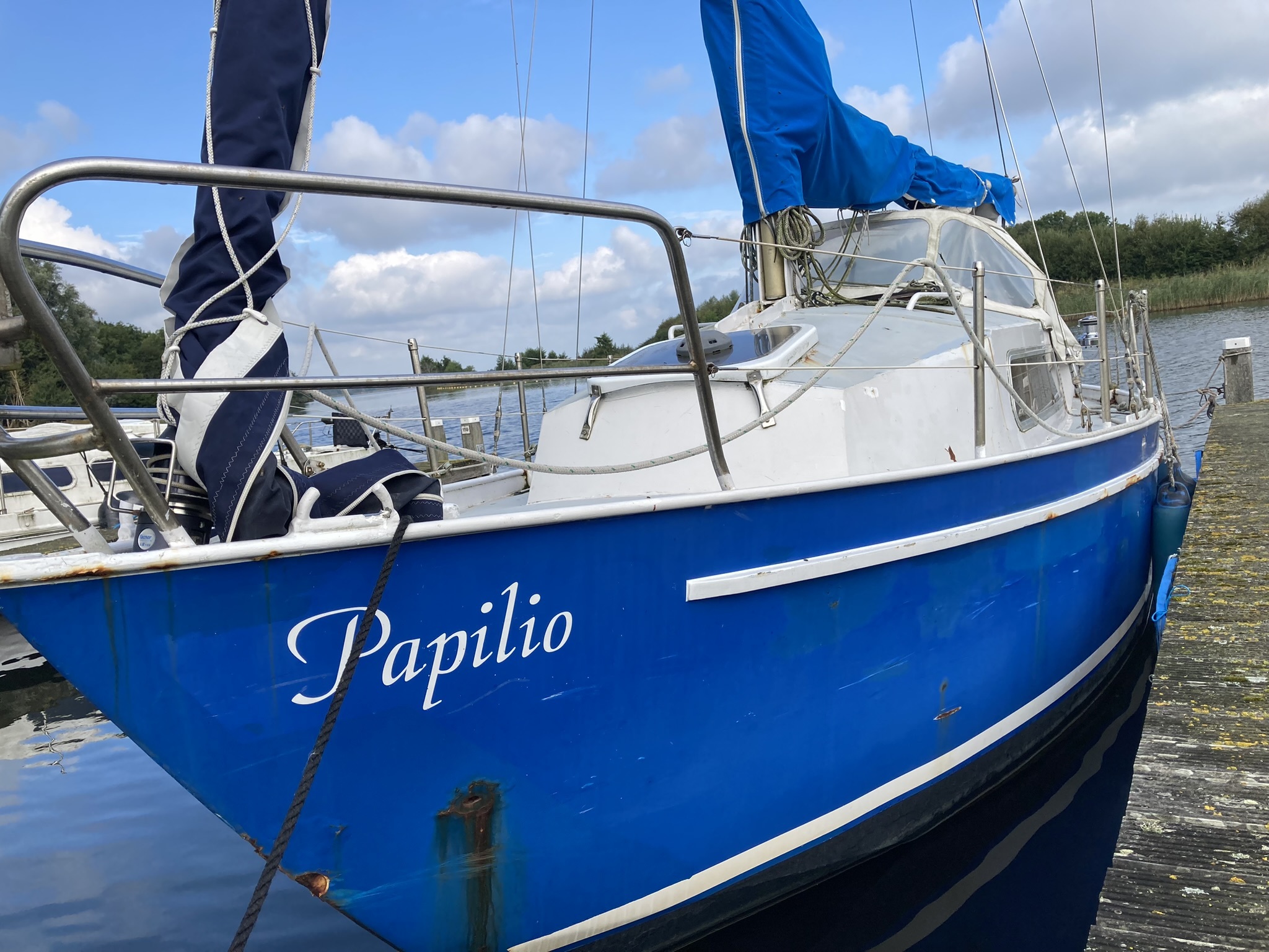 Papillon 830