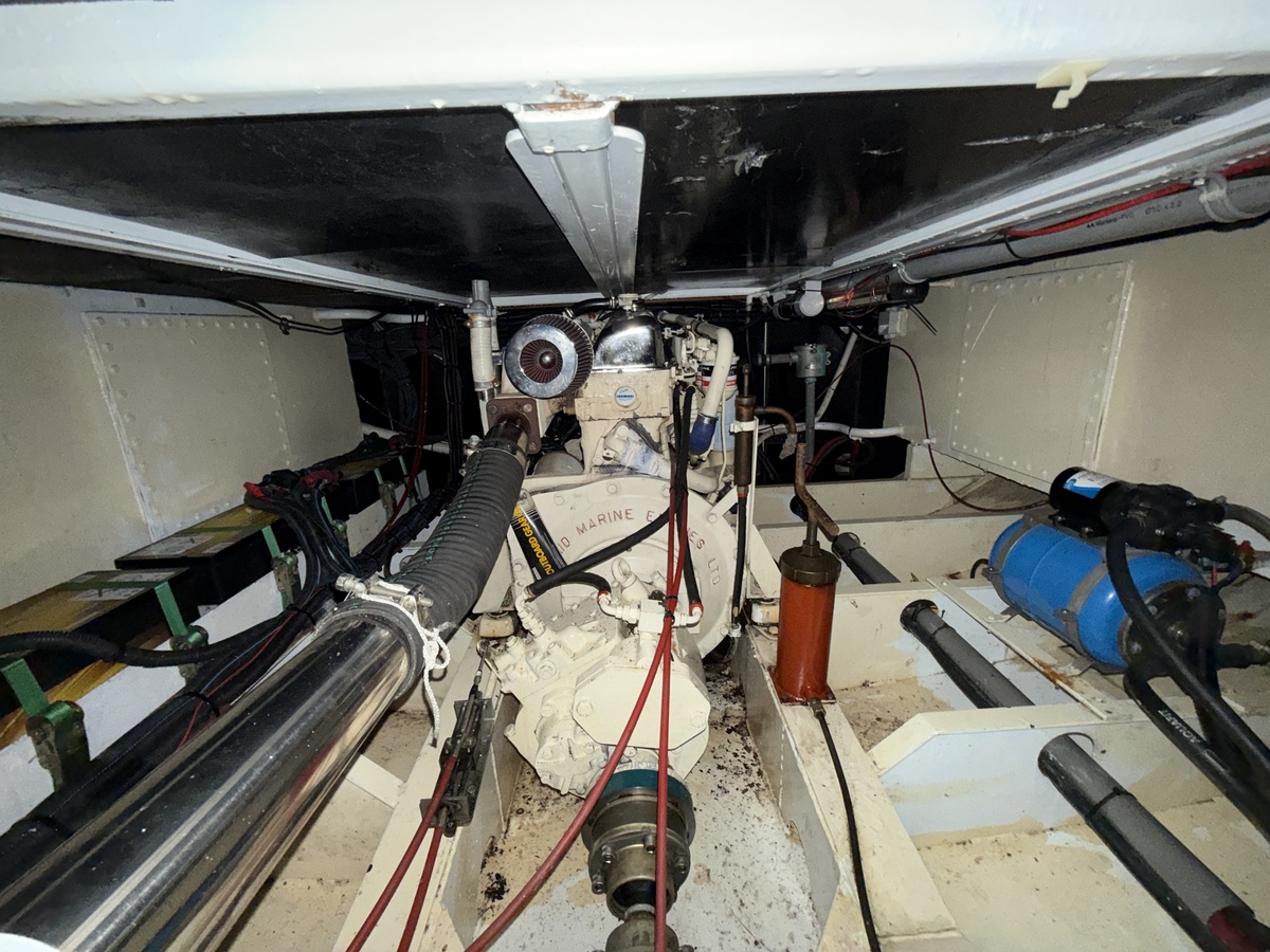 foto: 15 Molenmaker & Mantel Kotter 12.25