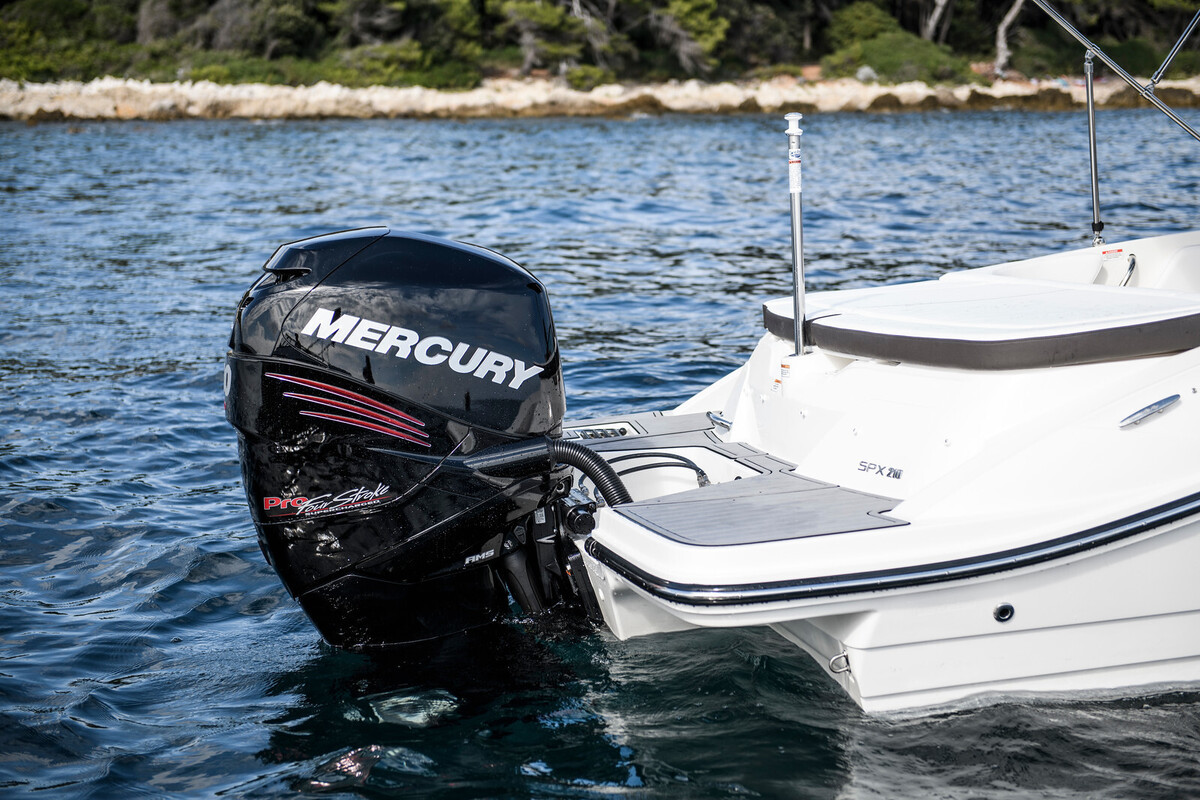 foto: 10 Sea Ray SPX 210 Outboard