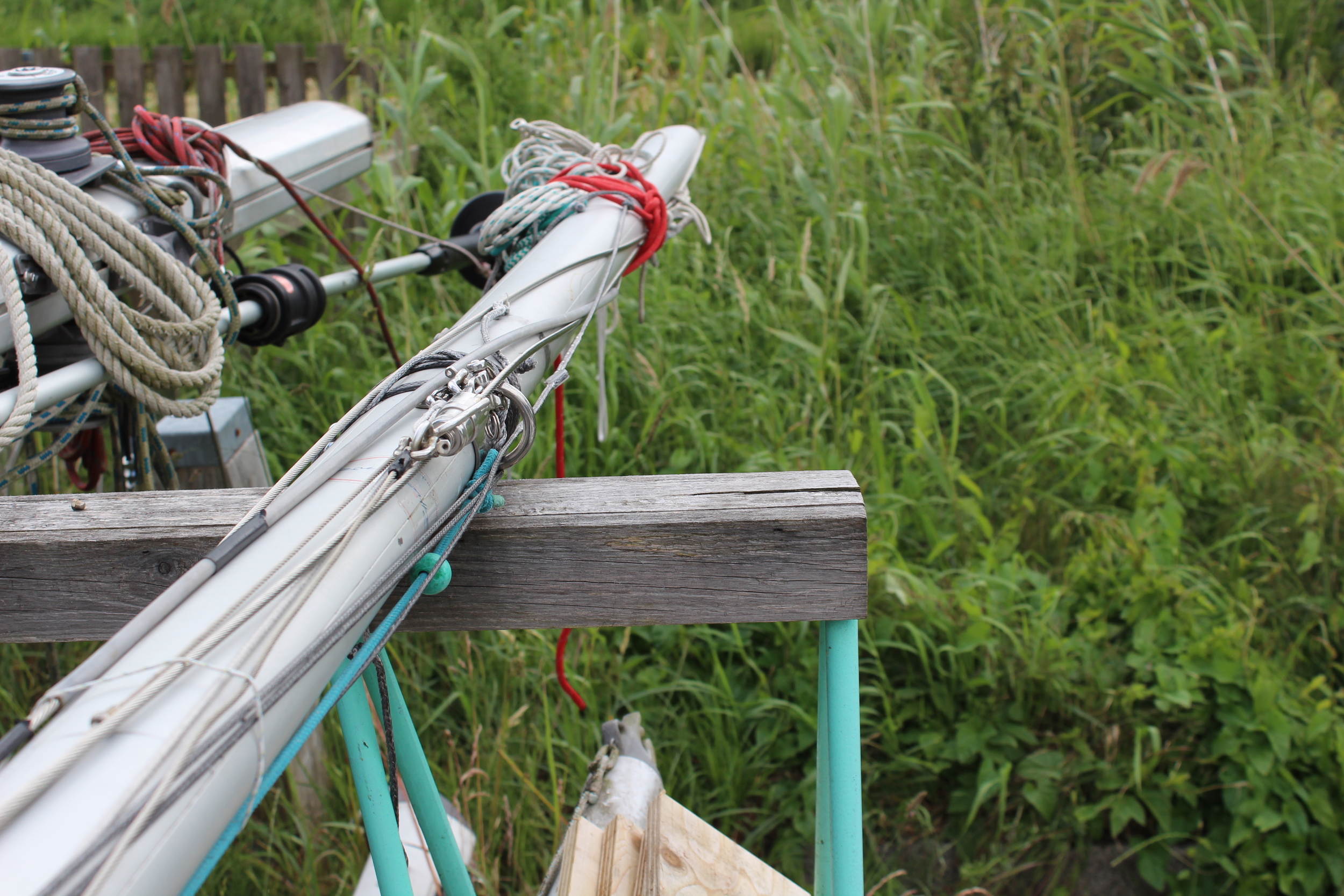 foto: 13 Draak 870